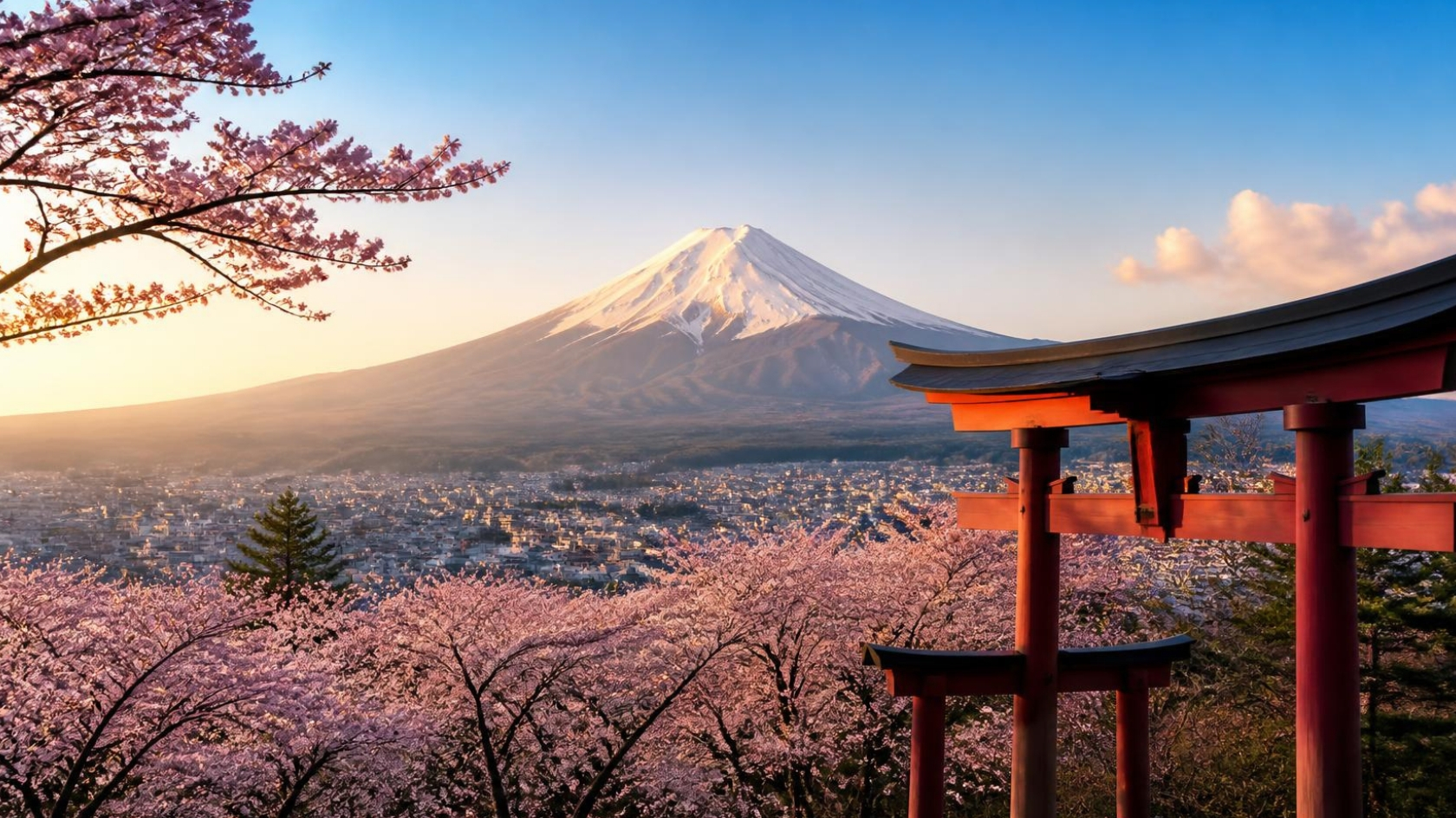 Viaje a Japón